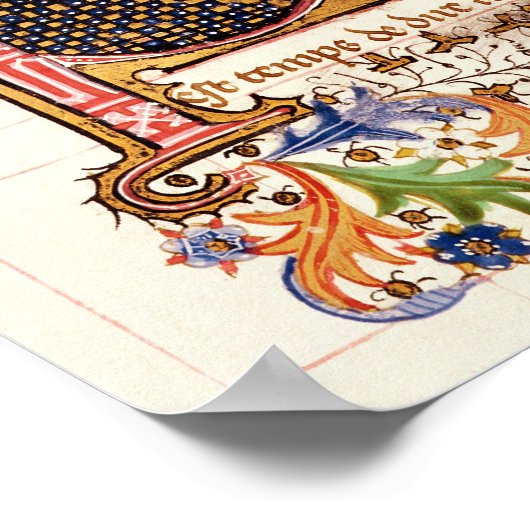 Poster Les propriétés des animaux (Coin)