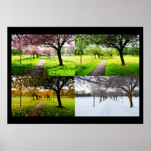 Poster Les quatre saisons