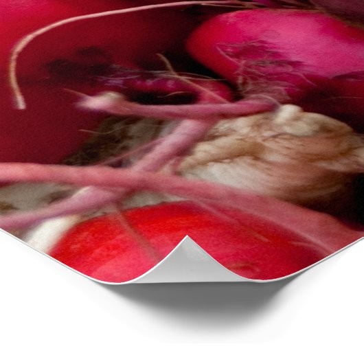 POSTER LES RACINES ! (Coin)