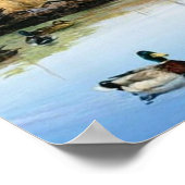 Poster Les Racons Envahissent L'Étang De Canards (Coin)