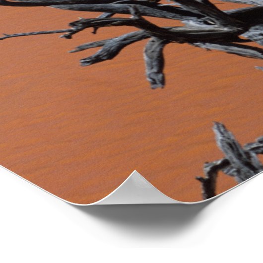 Poster Les radeaux à propulsion automobile se transformen (Coin)