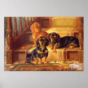 Poster Les raffineries à la mode