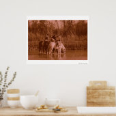 Poster Les Raiders (Cuisine)