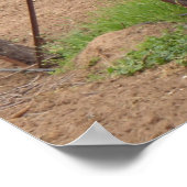 Poster Les raisins sur la vigne - Photographie du vignobl (Coin)