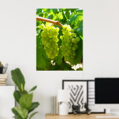 Poster Les raisins verts sur la vigne (Bureau à domicile)