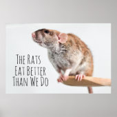 Poster Les rats mangent mieux que nous (Devant)