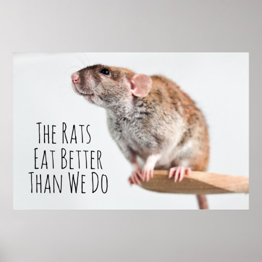 Poster Les rats mangent mieux que nous (Devant)