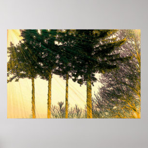 Poster Les rayons de l'espoir