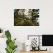 Poster Les rayons du soleil à travers les arbres (Bureau à domicile)