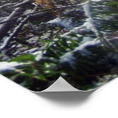 Poster Les rayons du soleil de la forêt dans la neige #68 (Coin)