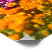 Poster Les Récupérateurs De Fleurs (Coin)