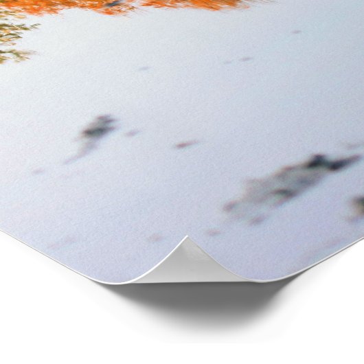 Poster Les Réflexions D'Automne Dans Une Nature Pénible (Coin)