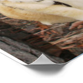 POSTER LES RÈGLES SCOLAIRES D'OBEY. (Coin)