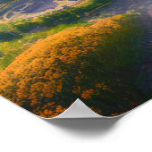 Poster Les reliques du temps (Coin)