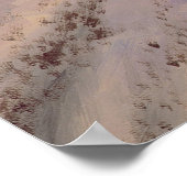 Poster Les renards des marais par David Poole Imprimer (Coin)