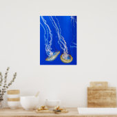 Poster Les réseaux marins (Cuisine)