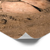 Poster Les restes humains (Coin)