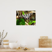 Poster Les rêves de papillons (Cuisine)