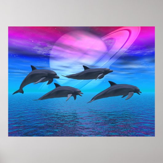 Poster Les rêves des dauphins (Devant)