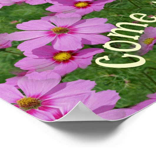 Poster Les rêves deviennent de vrais Fleurs de Cosmos Ins (Coin)