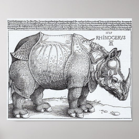 Poster Les rhinocéros de Dürer (Devant)