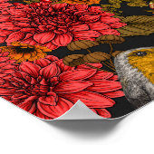 Poster Les Robins de l'auccle garden (Coin)