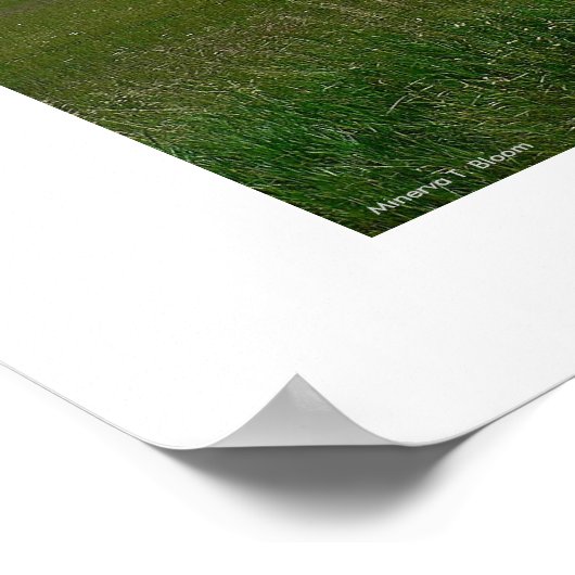 Poster Les Rocheuses (Coin)