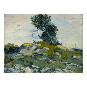 Poster Les Rocks Vincent van Gogh