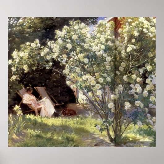 Poster Les Roses de Kroyer (Devant)