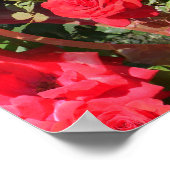 Poster Les roses sont rouges... (Coin)