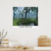 Poster Les Royaumes Du Prince Tobo (Cuisine)