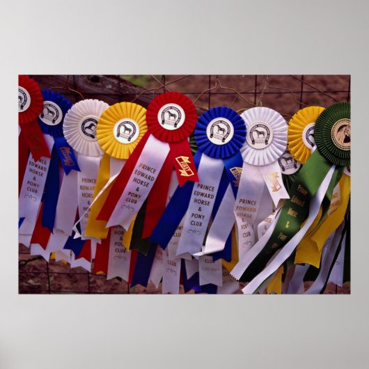 Poster Les Rubans (Devant)