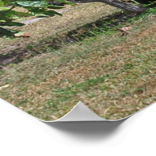 Poster Les ruines de Tulum (Coin)