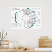 Poster Les saisons de l'Église chrétienne Organigramme de (Cuisine)