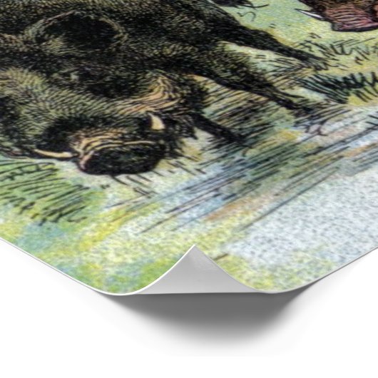 Poster Les sangliers (Coin)