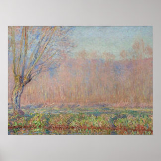 Poster Les saules - Claude Monet