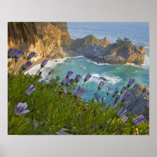 Poster Les Scenic McWay Falls se jettent sur la plage et