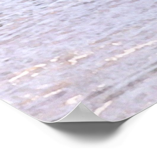 Poster Les sculpteurs sur le potomac (Coin)