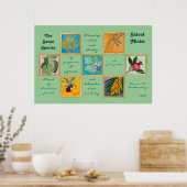 Poster Les Sept Espèces ou Shivat Minim (Cuisine)