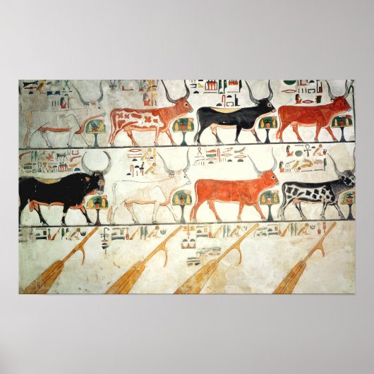 Poster Les sept vaches célestes et le taureau sacré (Devant)