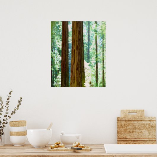 Poster Les séquoias (Cuisine)