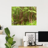 Poster Les séquoias au monument national de Muir Woods (Bureau à domicile)