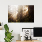 Poster Les séquoias dans le brouillard matinal avec rayon (Bureau à domicile)