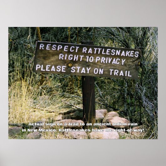 Poster Les serpents de sonnette ont un droit de passage h (Devant)