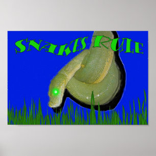 Poster Les serpents sont au pouvoir ! ! !