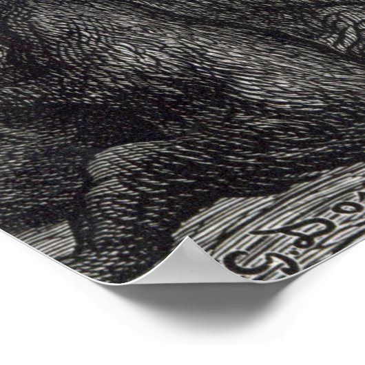 Poster Les singes de Londres (Coin)