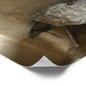 Poster Les soldats américains dorment dans une maison de (Coin)