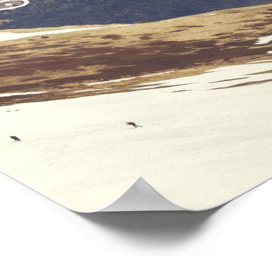 Poster Les sommets enneigés (Coin)