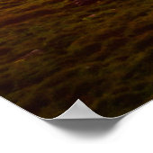 Poster Les sommets majestueux de Schreckhorn et Wetterhor (Coin)