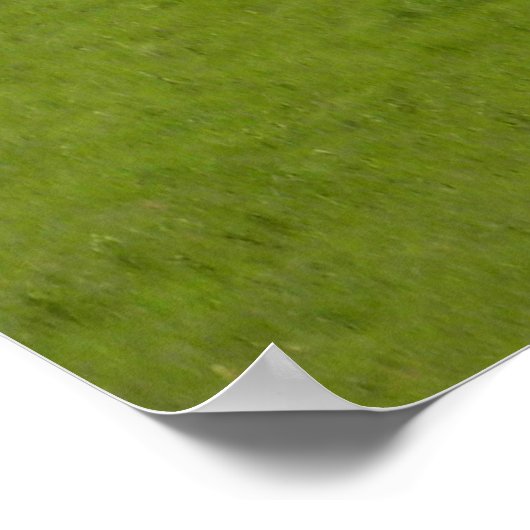 Poster Les souvenirs de Cowboy..... (Coin)